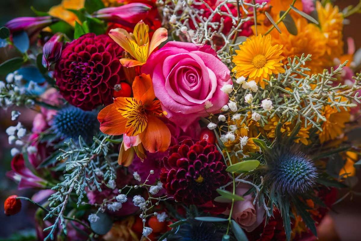 12 Stunning Flowers That Bloom Only Once in a Lifetime Again | The Lifesciences Magazine