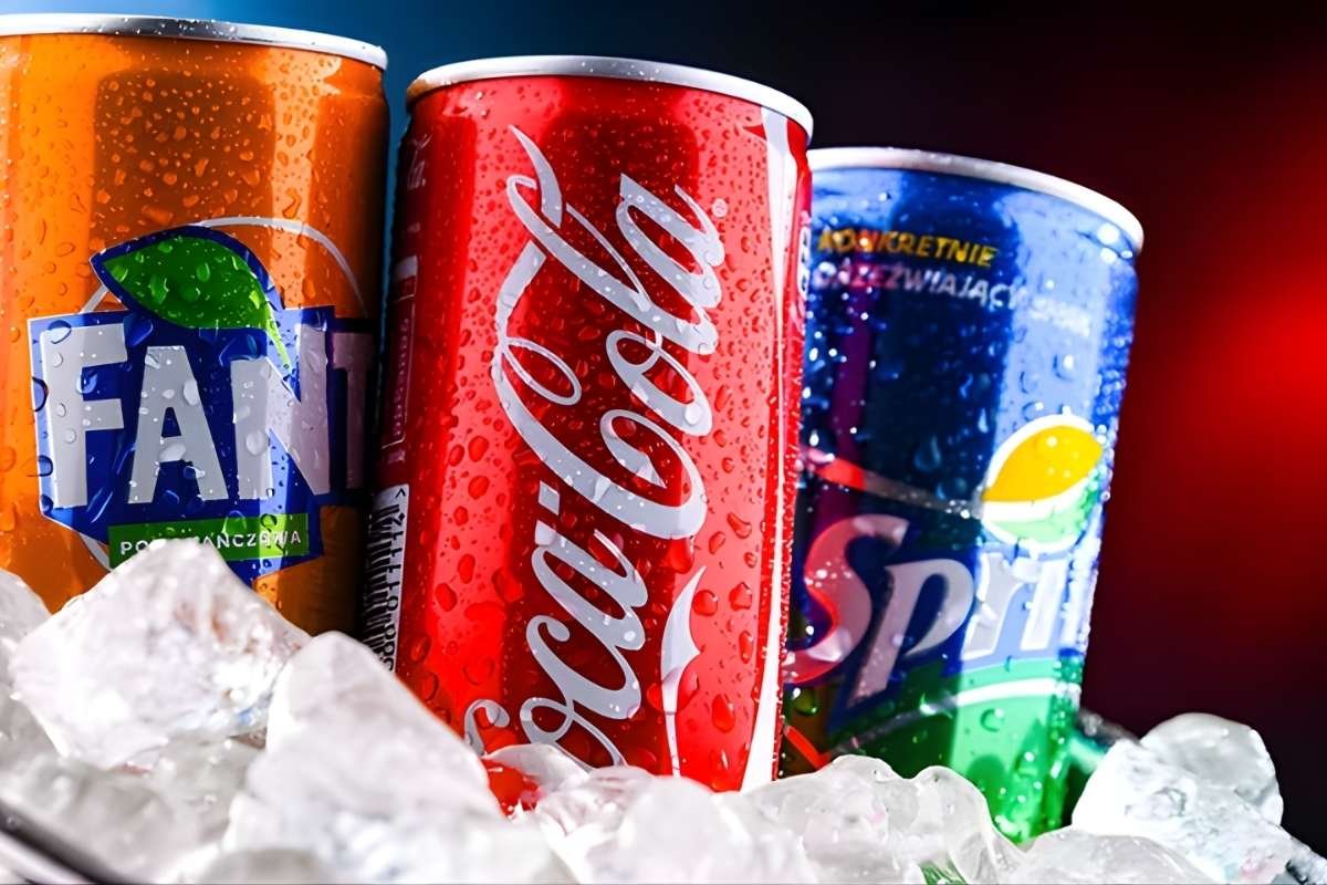 Why Ultra-Processed Foods Are Slowly Controlling Your Plate? | The Lifesciences Magazine