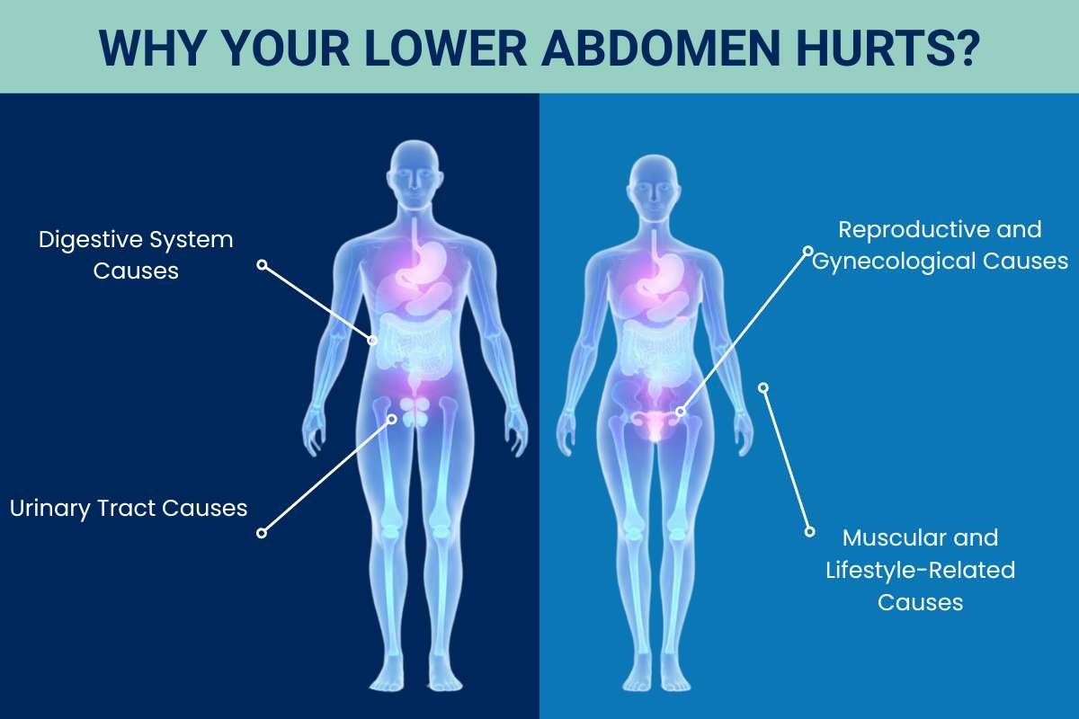 Lower Abdominal Pain: Spot Symptoms Before It’s Too Late | The Lifesciences Magazine