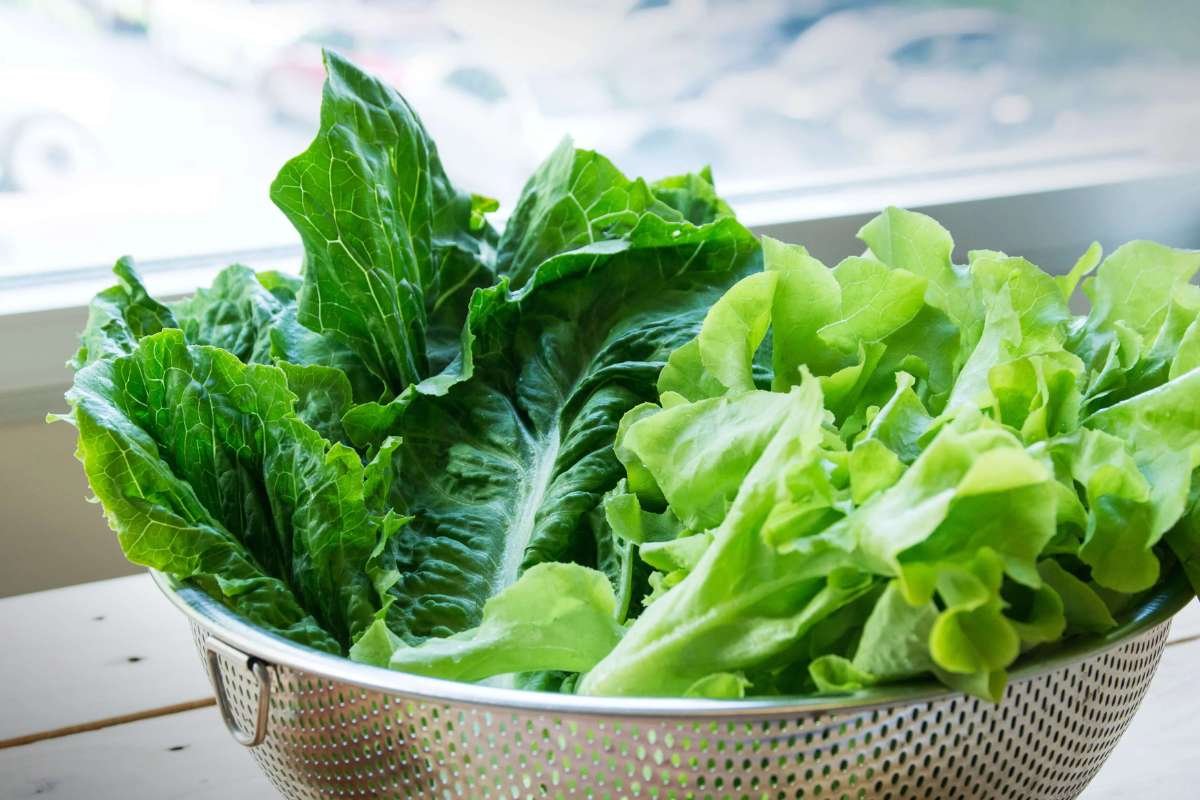 12 Most Weight Loss Friendly Foods You’re Not Eating Yet | The Lifesciences Magazine