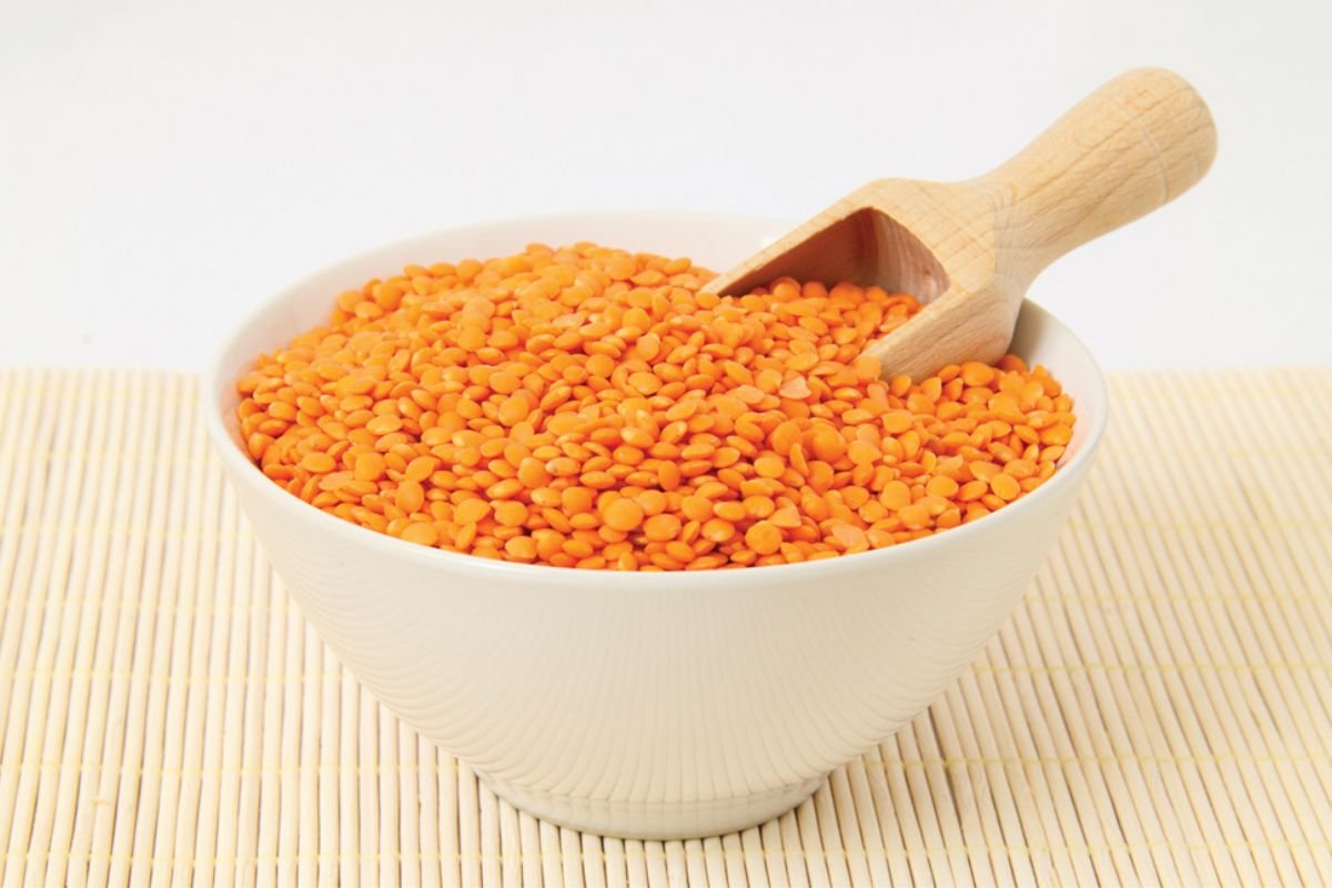 Top 25 Foods with More Protein than an Egg, Backed by Science | The Lifesciences Magazine