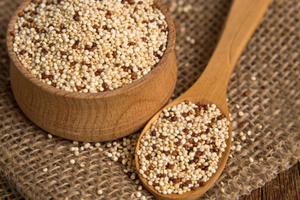 Top 25 Foods with More Protein than an Egg, Backed by Science | The Lifesciences Magazine