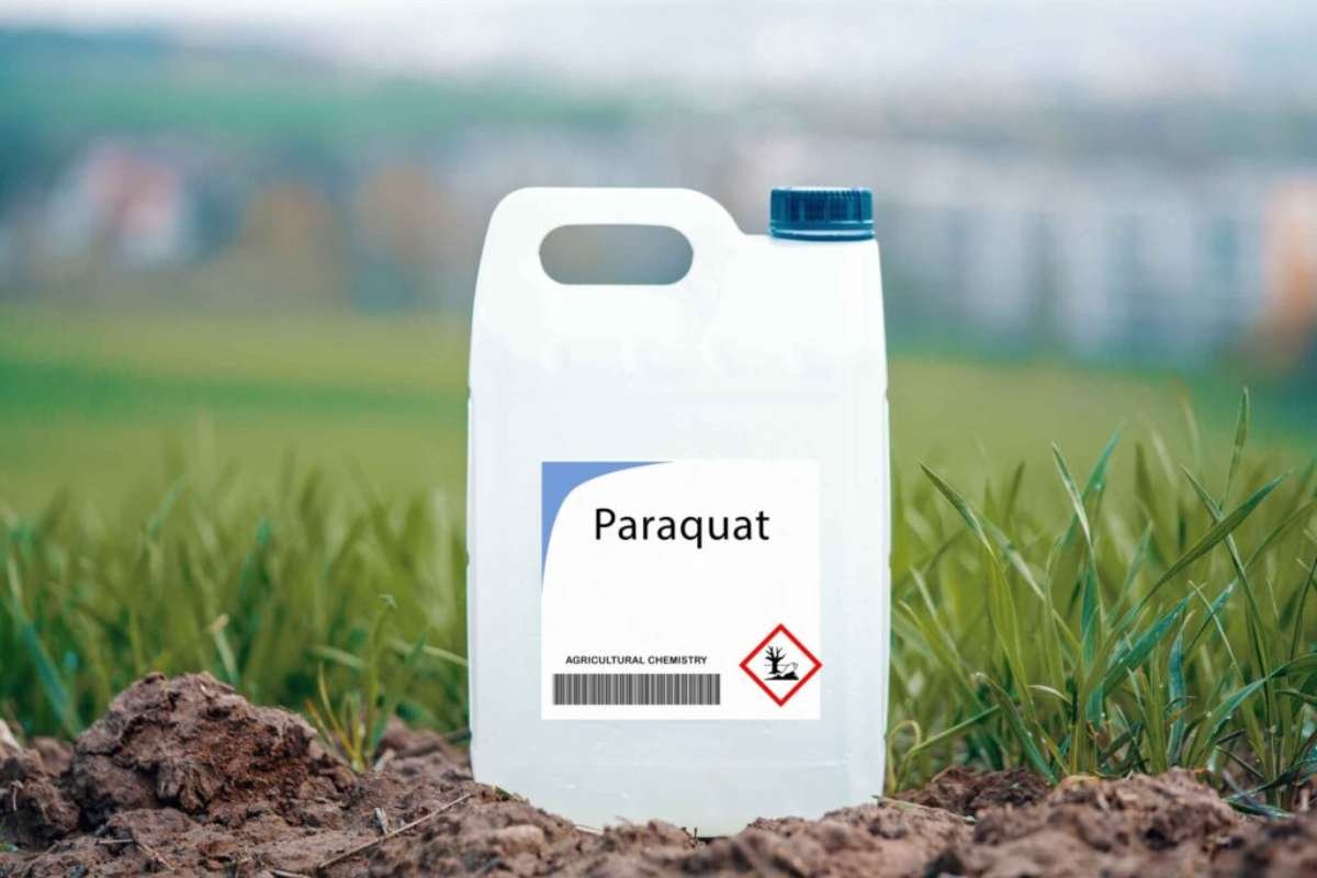 Paraquat Poisoning: Warning Signs You Should Never Ignore | The Lifesciences Magazine