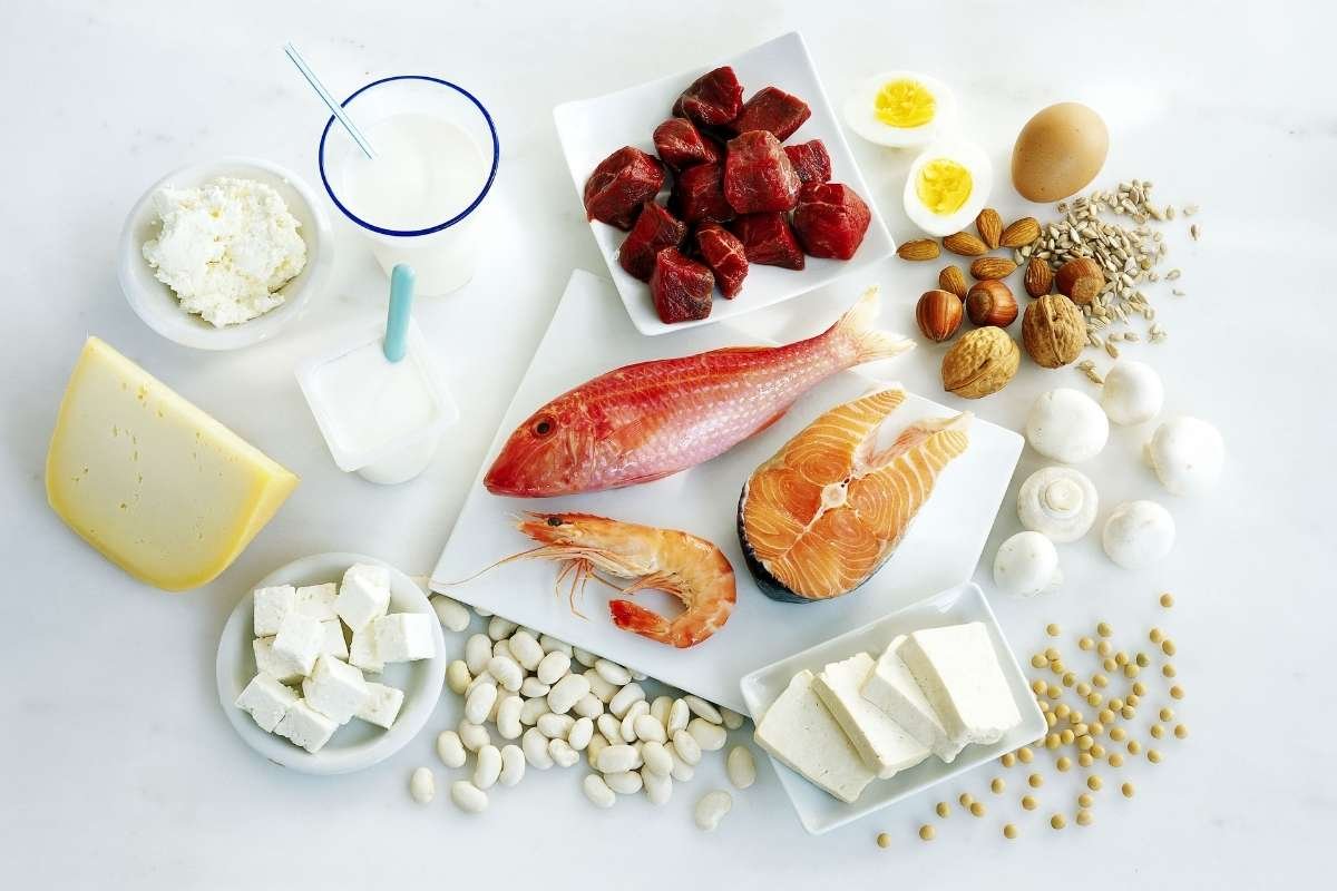 25 Low Calorie High Protein Foods You’re Likely Underrating | The Lifesciences Magazine