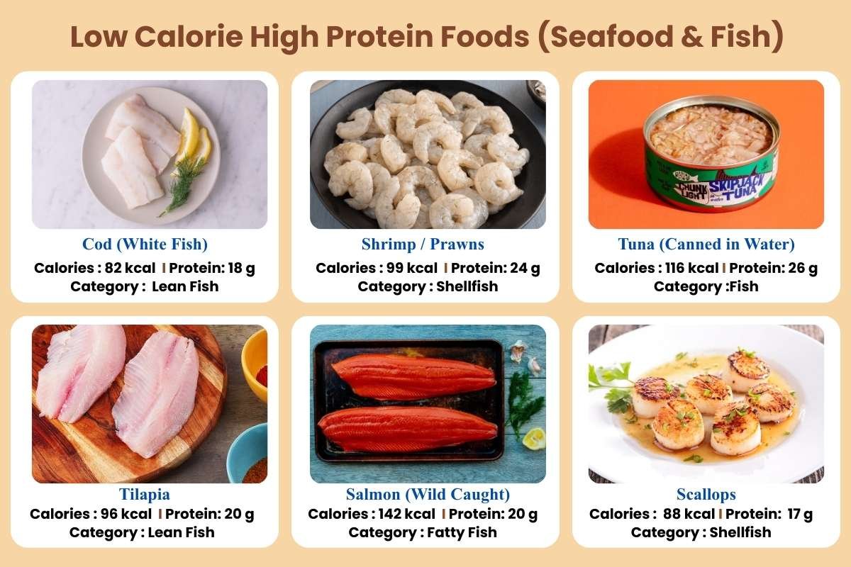 25 Low Calorie High Protein Foods You’re Likely Underrating | The Lifesciences Magazine