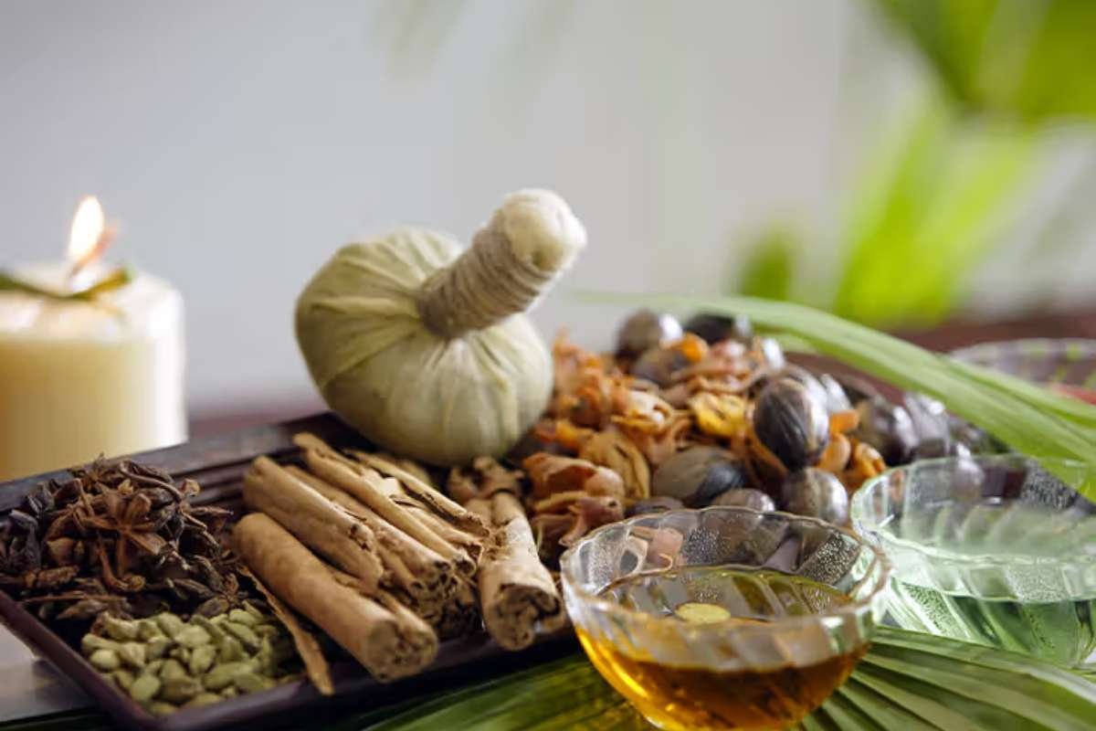 Top 10 Best Moringa Oil Options You Can Trust | The Lifesciences Magazine