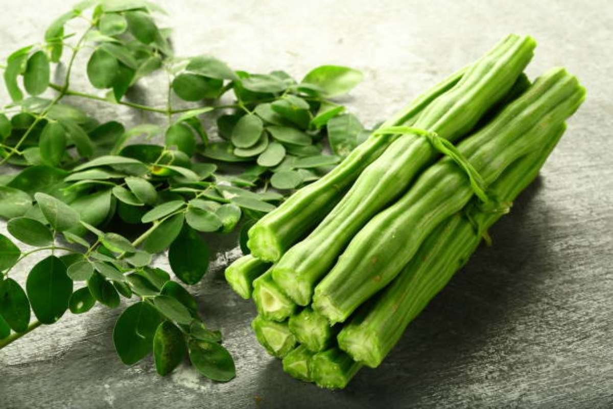 6 Moringa Benefits for Men That Improve Energy and Mood | The Lifesciences Magazine