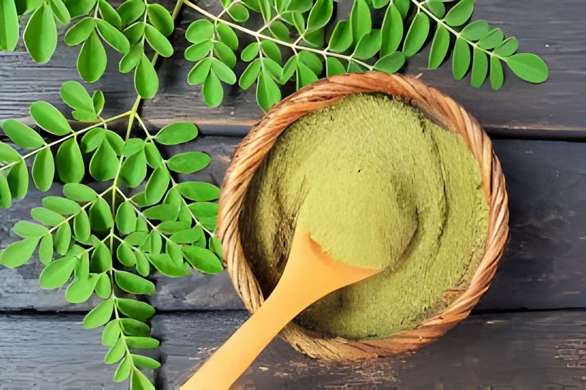 6 Moringa Benefits for Men That Improve Energy and Mood | The Lifesciences Magazine