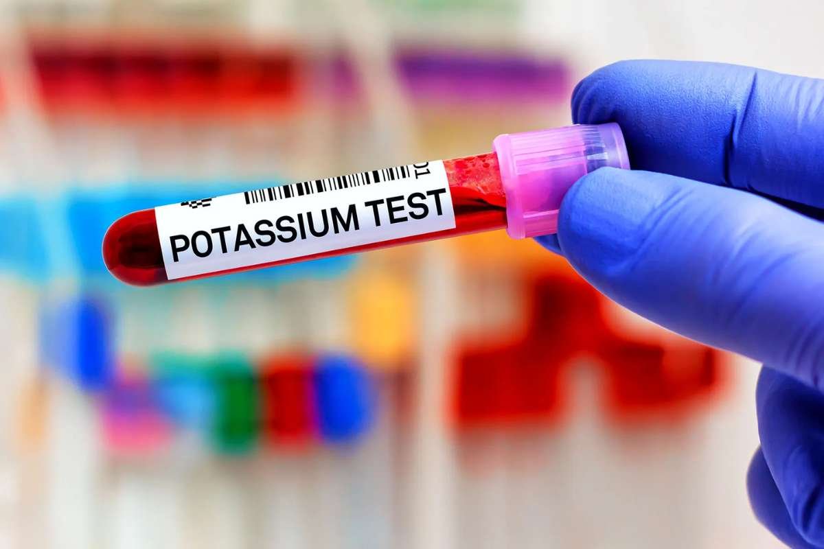 What Does Potassium Do? Boosting Heart and Brain Health | The Lifesciences Magazine