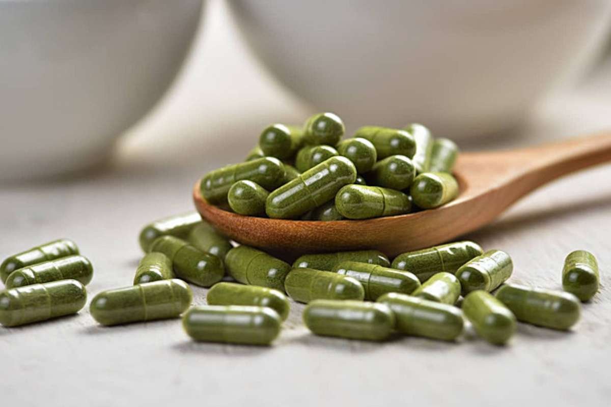 Moringa for Losing Weight That Actually Feels Easy | The Lifesciences Magazine