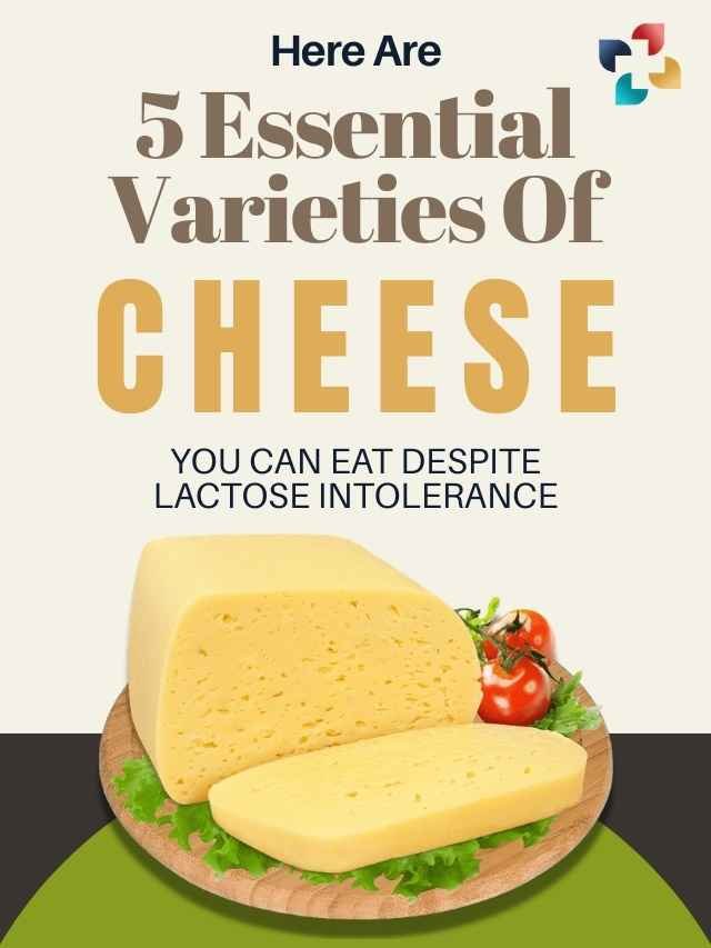 Cheese You Can Eat Despite Lactose Intolerance: 5 Essential Varieties