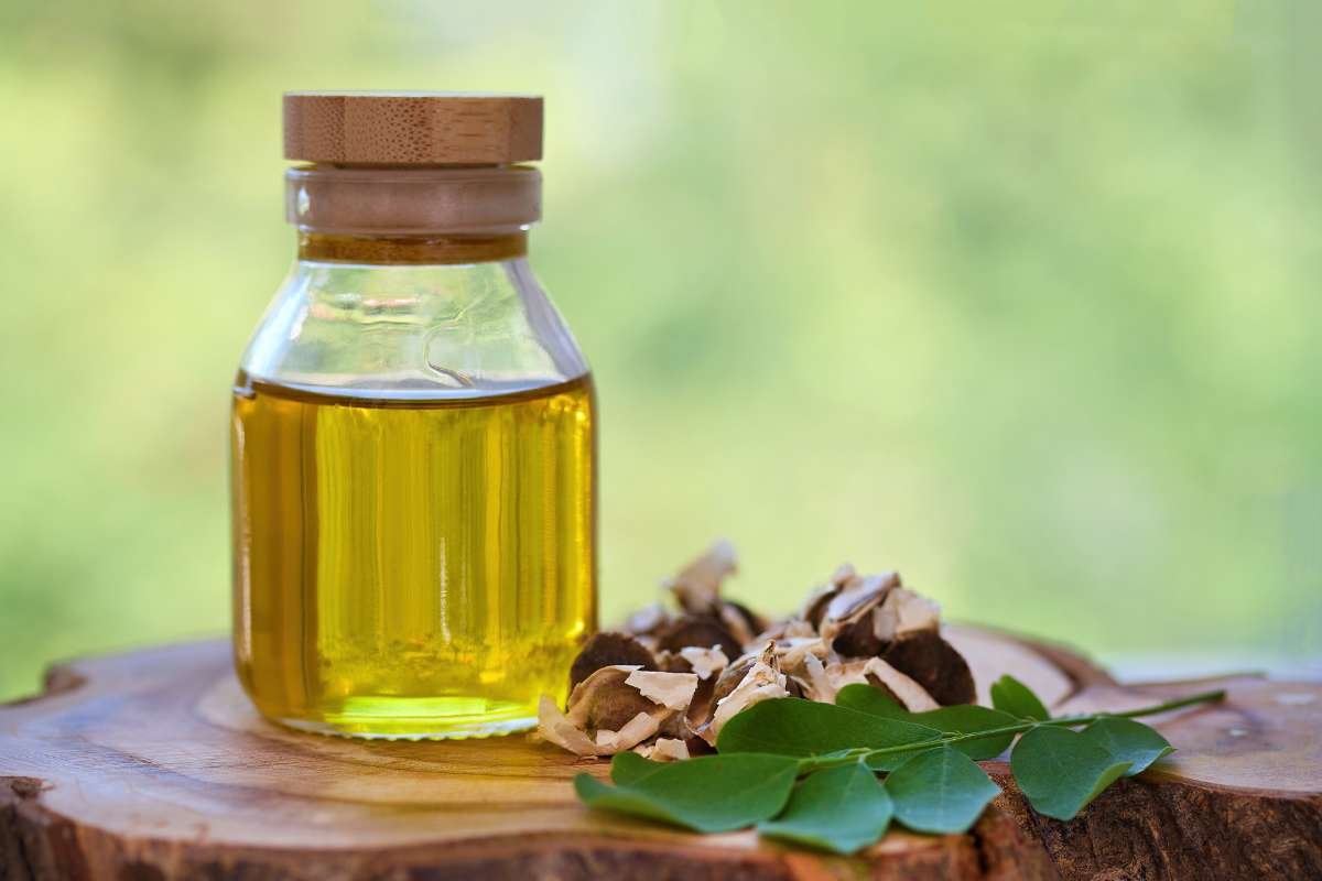 Top 10 Best Moringa Oil Options You Can Trust | The Lifesciences Magazine