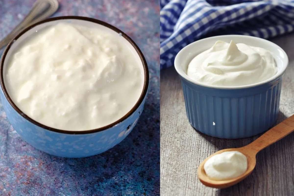 Greek Yogurt vs Regular Yogurt: Which Is Truly Healthier for You? | The Lifesciences Magazine