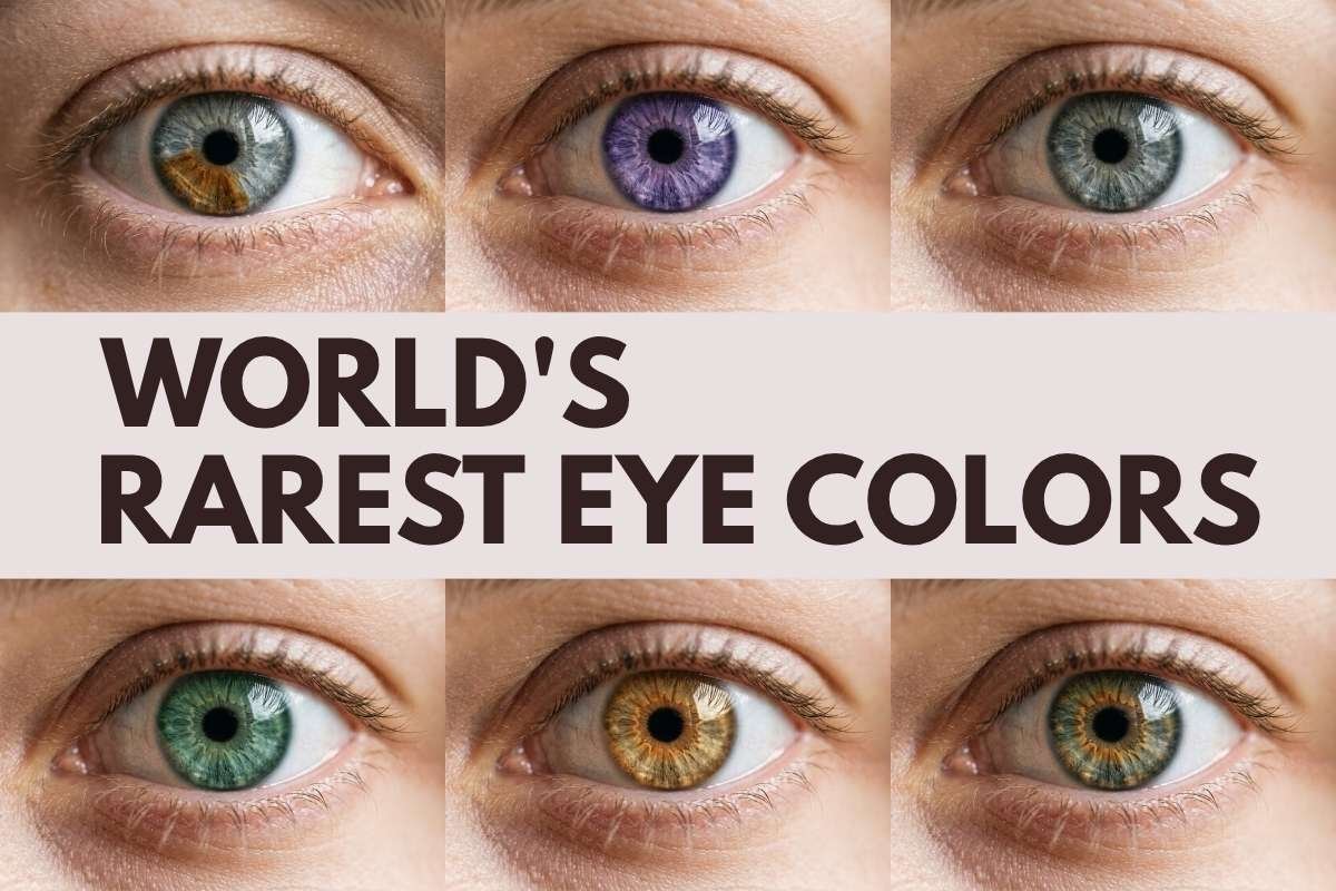 World’s Rarest Eye Colors: List, Genetics & Global Prevalence | The Lifesciences Magazine