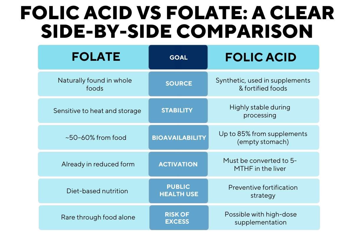 Folic Acid vs Folate: Key Differences in Vitamin B9 | The Lifesciences Magazine