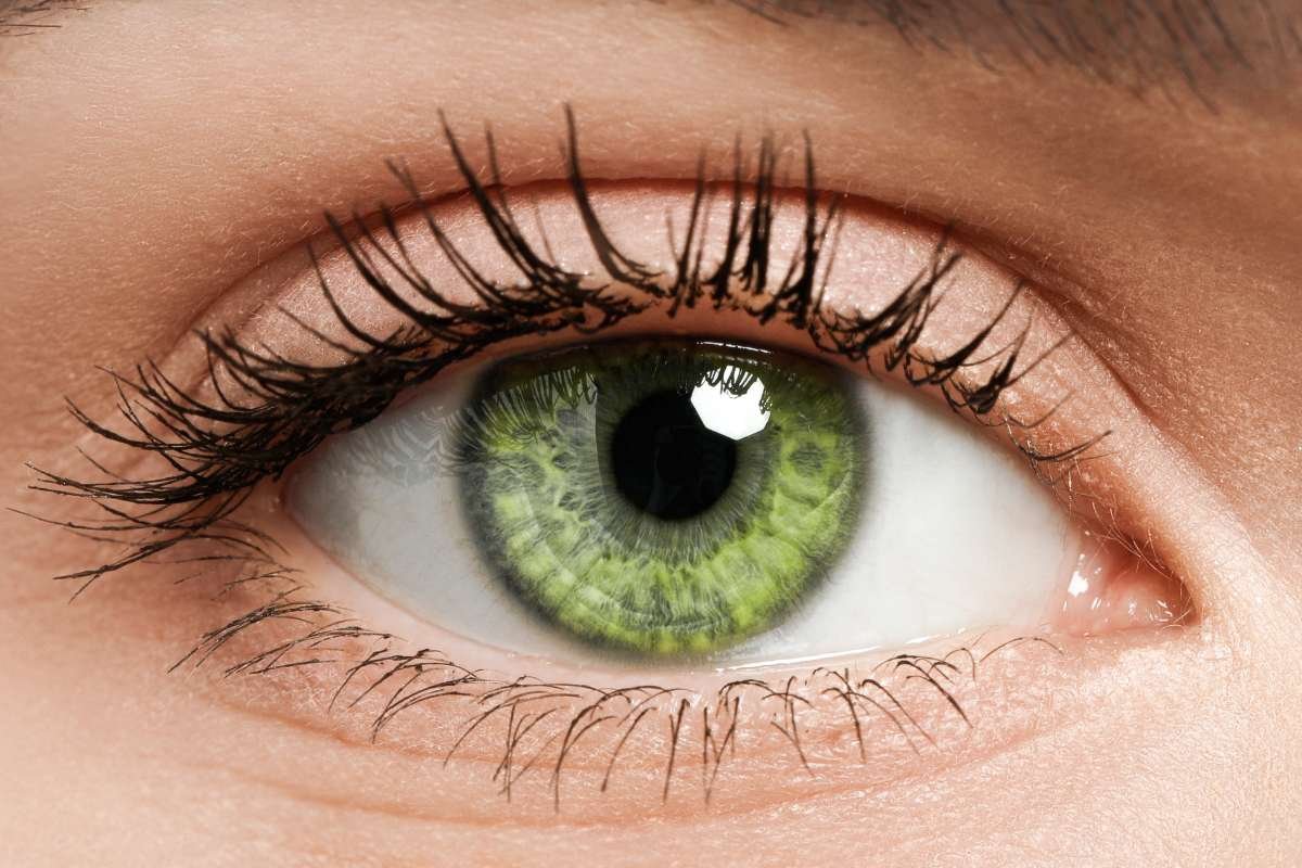 World’s Rarest Eye Colors: List, Genetics & Global Prevalence | The Lifesciences Magazine
