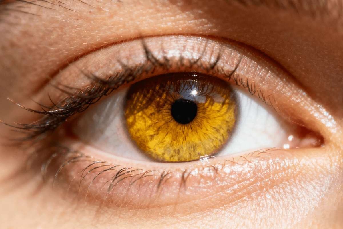 World’s Rarest Eye Colors: List, Genetics & Global Prevalence | The Lifesciences Magazine