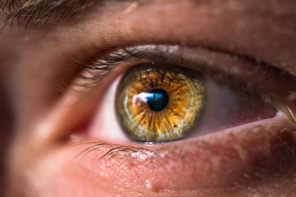 World’s Rarest Eye Colors: List, Genetics & Global Prevalence | The Lifesciences Magazine