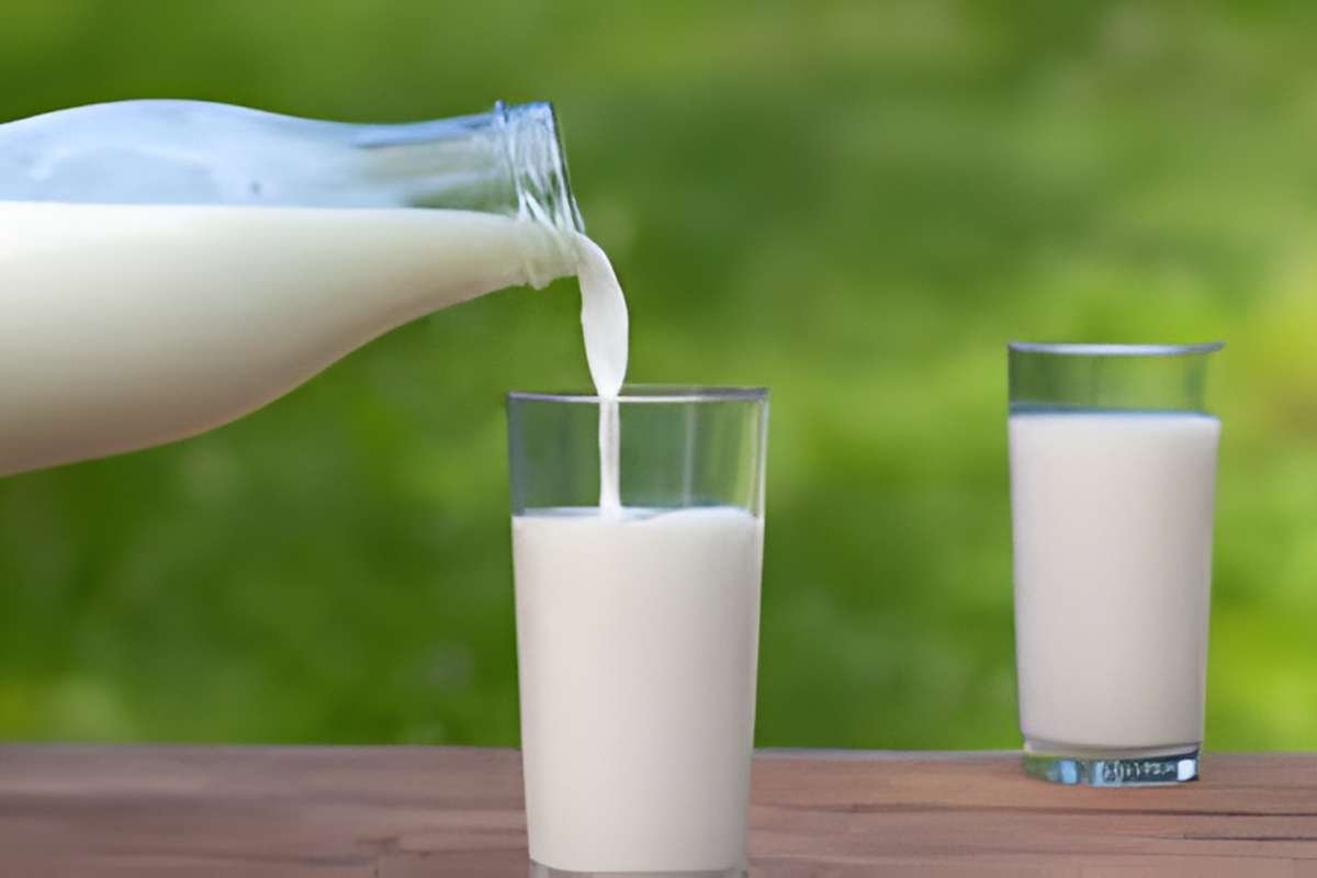 Top 6 Best Ways to Rehydrate: Boost Energy And Stay Hydrated | The Lifesciences Magazine