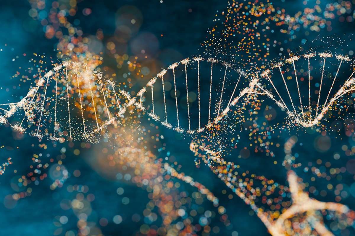 Mount Sinai Creates First Human Skin Cell Atlas Study | The Lifesciences Magazine