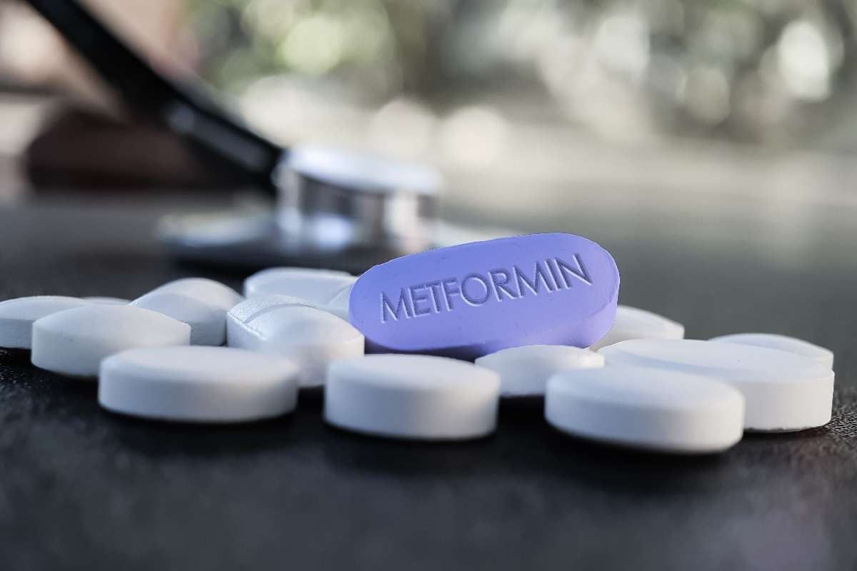 Metformin Diabetes Drug Works Through Brain, Study Finds | The Lifesciences Magazine
