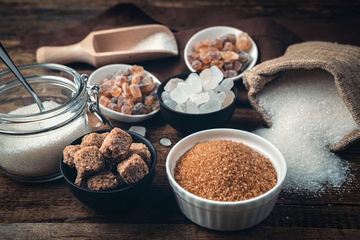 Greek Yogurt vs Regular Yogurt: Which Is Truly Healthier for You? | The Lifesciences Magazine