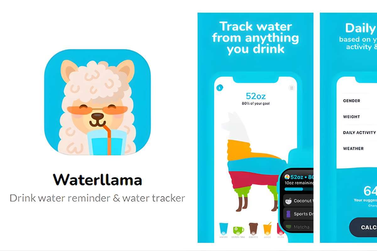 Top 12 Best Hydration Apps For Peak Performance Today | The Lifesciences Magazine
