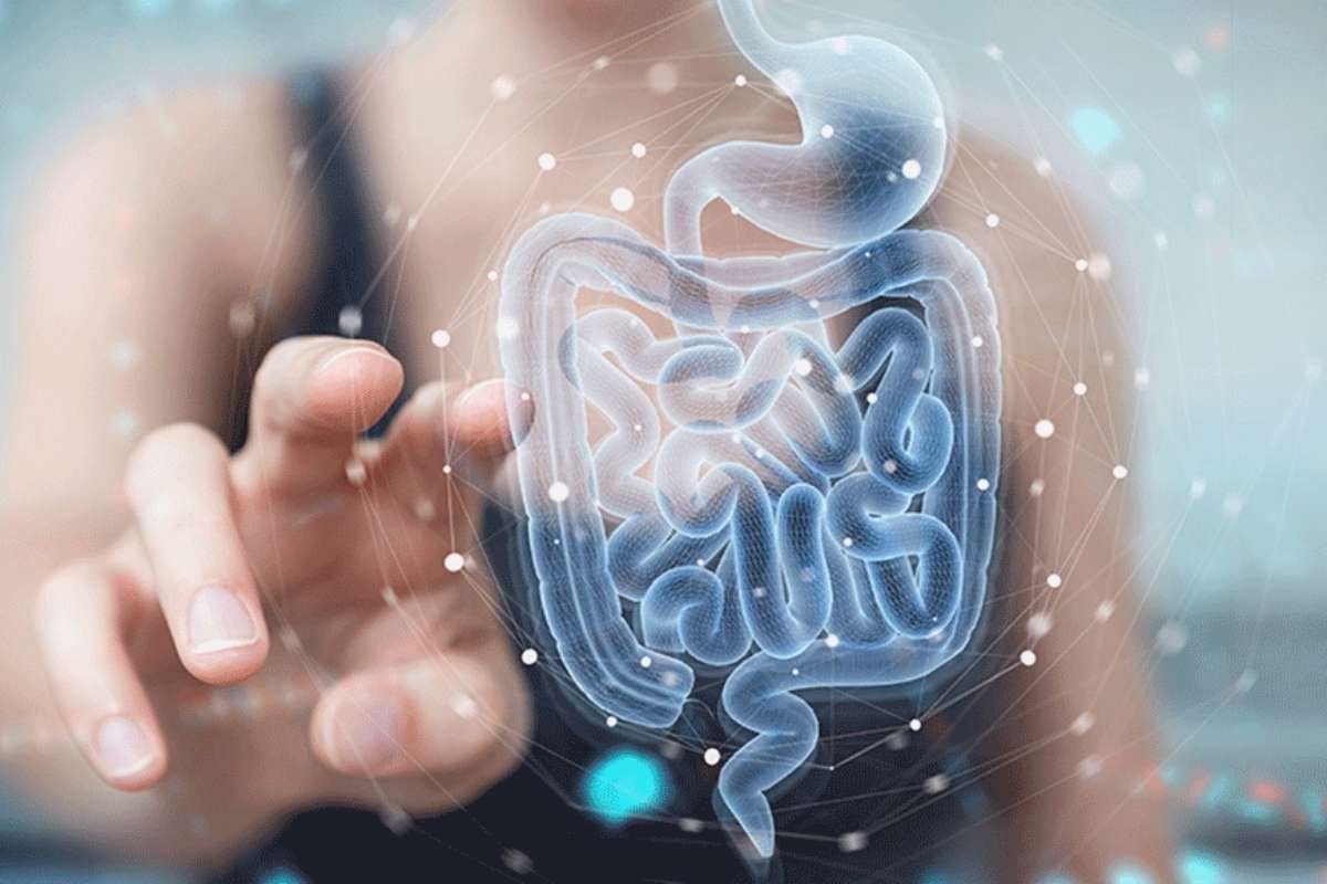 Drinking Water in the Morning: Boost Energy Fast Daily Now | The Lifesciences Magazine