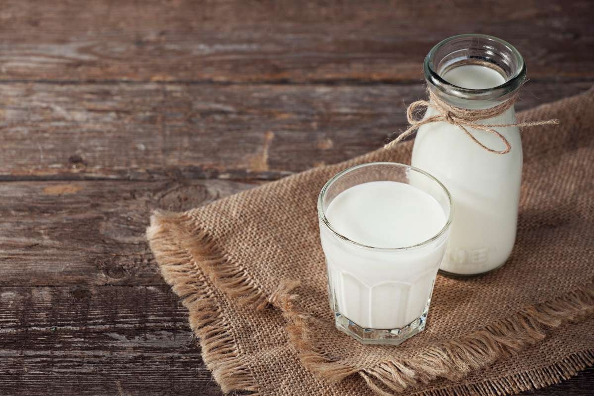 Top 15 Drinks for Drinking Liquids with Meals Guide | The Lifesciences Magazine