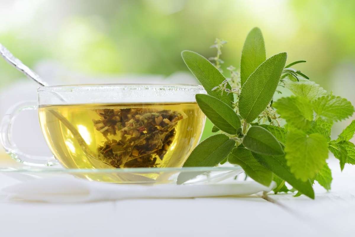 Top 15 Drinks for Drinking Liquids with Meals Guide | The Lifesciences Magazine