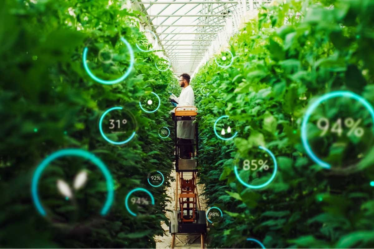 Precision Agriculture and Data-Driven Farming: The Future of Smart Agriculture