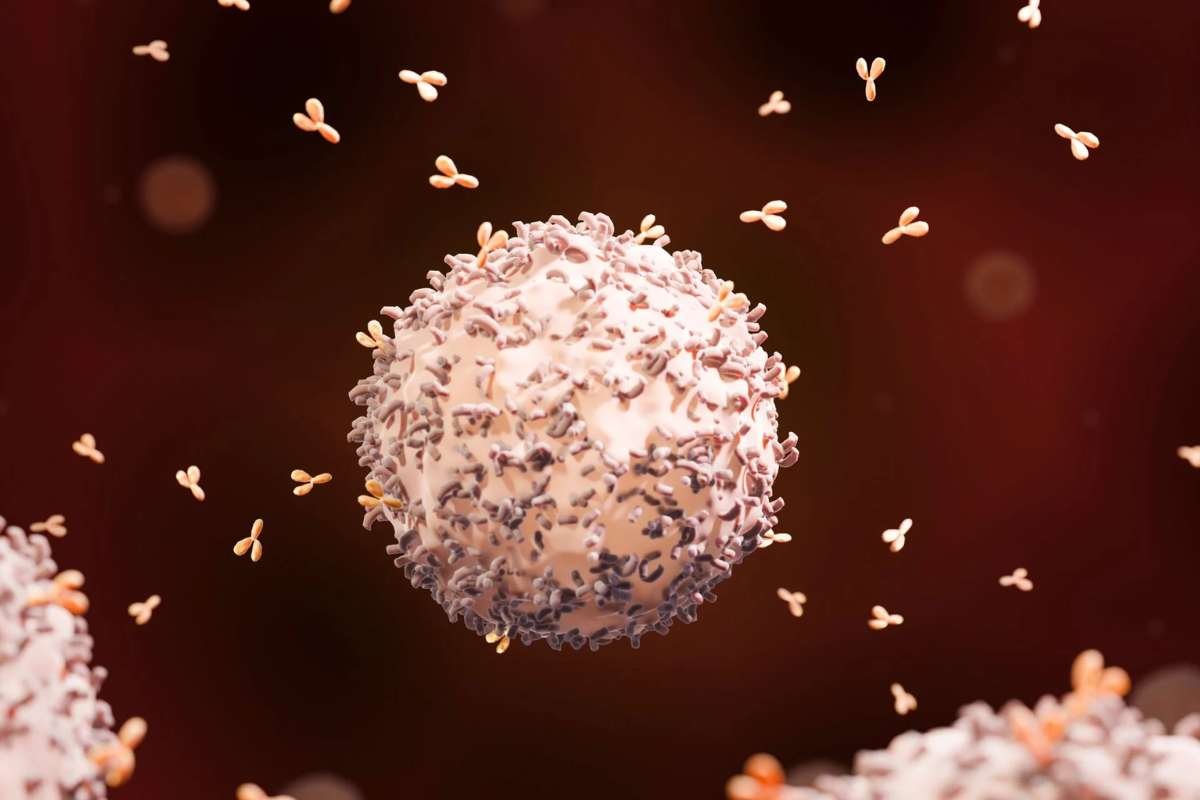 CAR-T Therapy for Autoimmune Disease Achieves Triple Remission | The Lifesciences Magazine