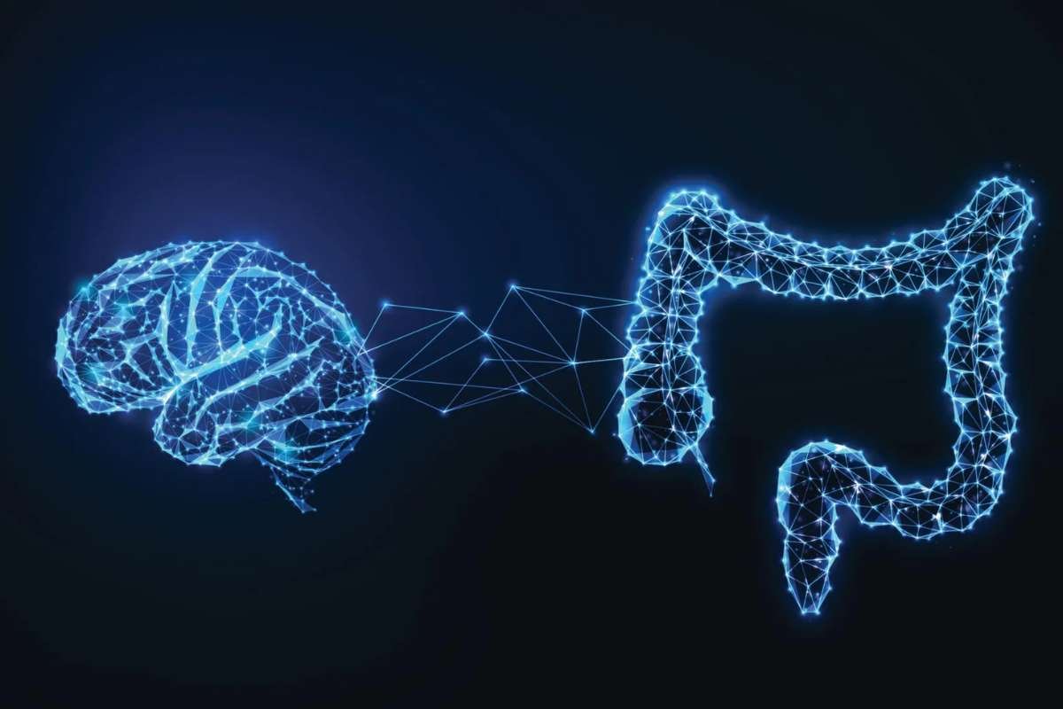 Microbiota Modulation May Slow Cognitive Decline Study | The Lifesciences Magazine