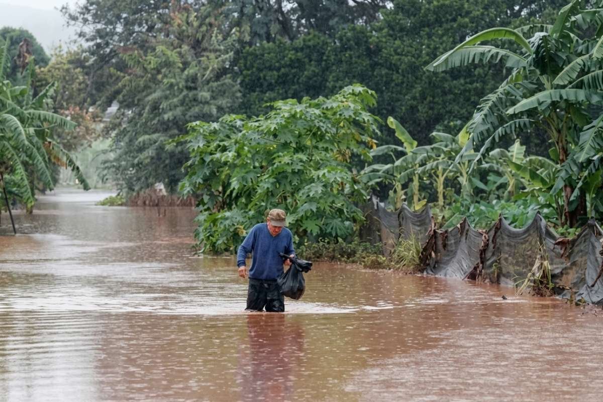 Leptospirosis Risk Rises in Hawaii After Kona Low Flooding | The Lifesciences Magazine