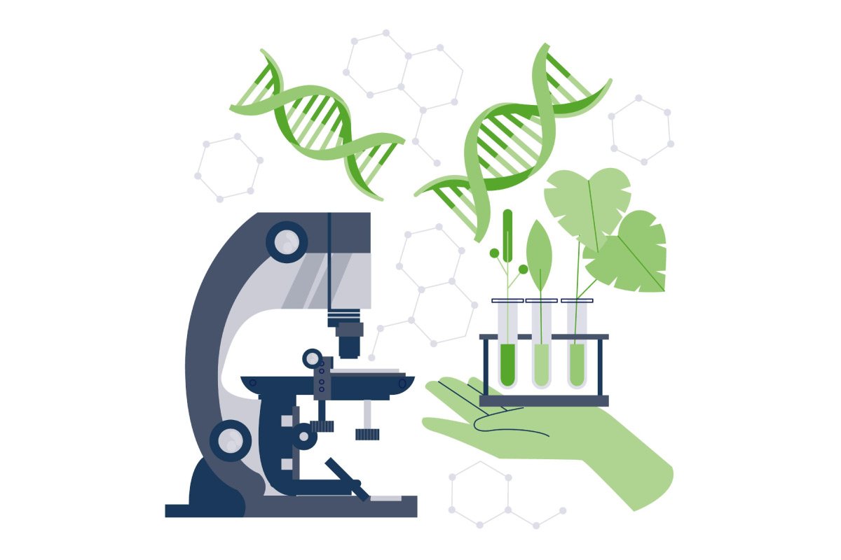 Sustainable Farming Through Biotechnology: Transforming Agriculture for the Future