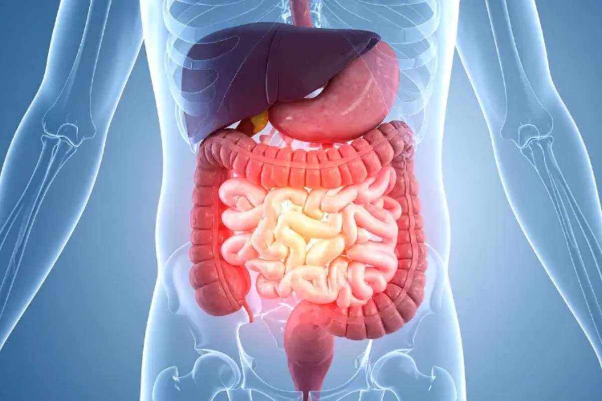 Foods Hard to Digest as You Get Older: The Real Reason | The Lifesciences Magazine