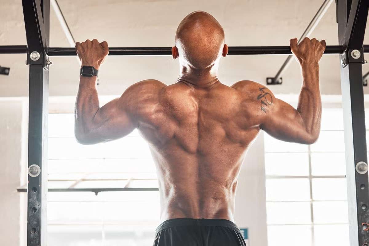 Crunches vs Planks: Best Core Exercise for Abs And Strength | The Lifesciences Magazine