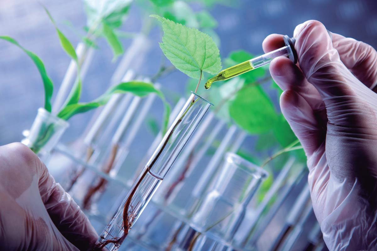 GLOBAL EVENTS: Plant Biostimulants in Modern Agriculture | The Lifesciences Magazine