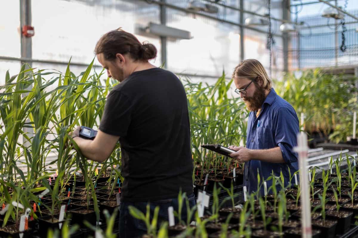 News of the Week- Market Overview: Europe’s Agri-Biotech Boom (2026–2034) | The Lifesciences Magazine