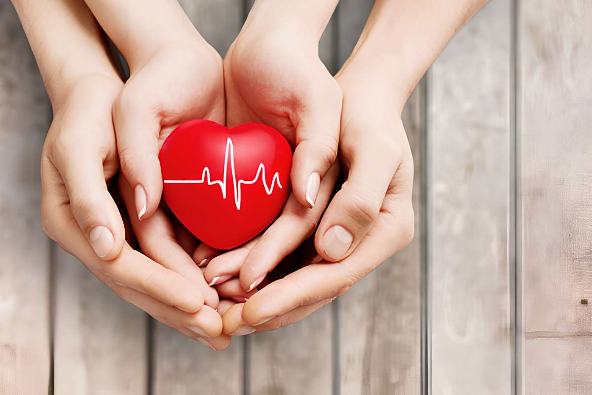 How to Keep Your Heart Healthy With Simple Daily Habits | The Lifesciences Magazine