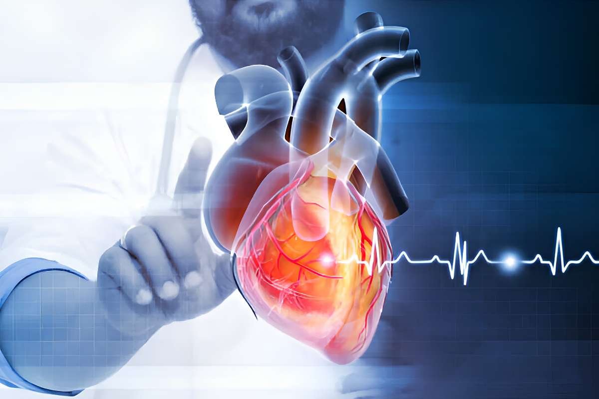 Types of Heart Disease: Symptoms, Causes & Prevention Guide | The Lifesciences Magazine
