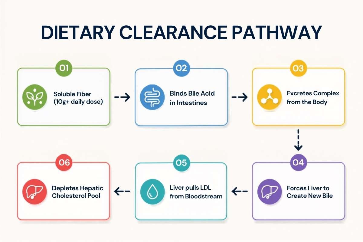 How to Lower Cholesterol Naturally: Clinical Blueprint | The Lifesciences Magazine