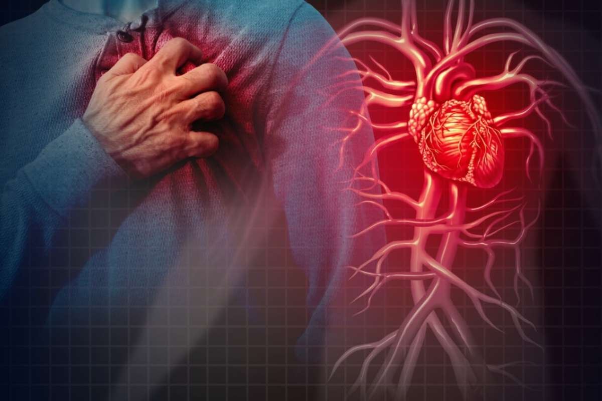 How to Prevent Heart Disease: Simple Habits That Work | The Lifesciences Magazine