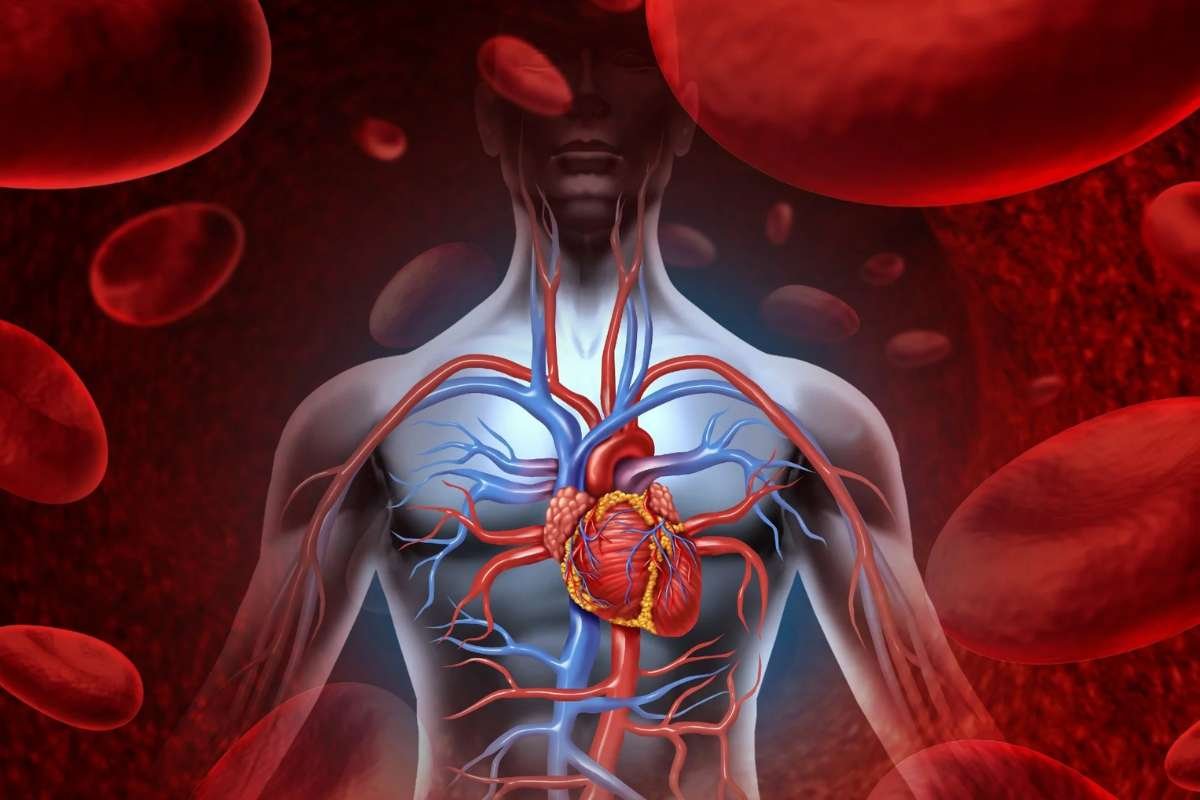 Risk Factors for Heart Disease: Doctors' Key Insights | The Lifesciences Magazine