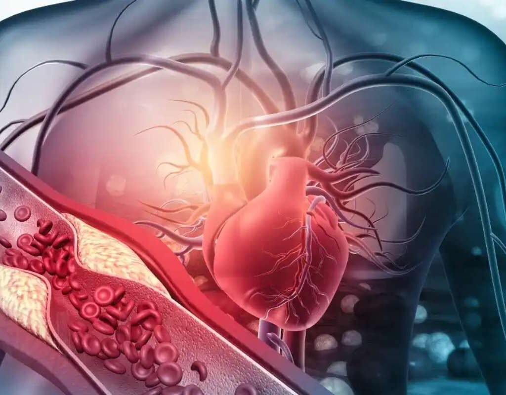 Types of Heart Disease: Symptoms, Causes & Prevention Guide | The Lifesciences Magazine