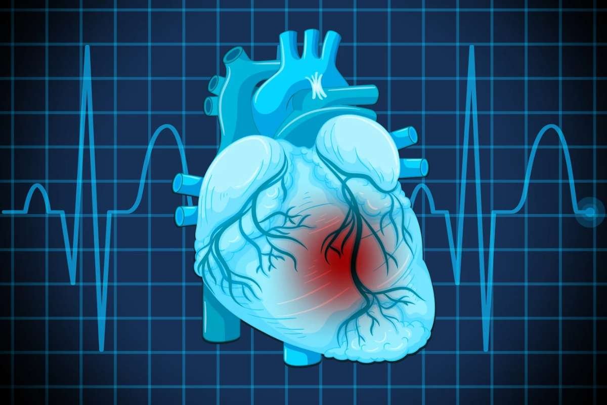 How to Prevent Heart Disease: Simple Habits That Work | The Lifesciences Magazine