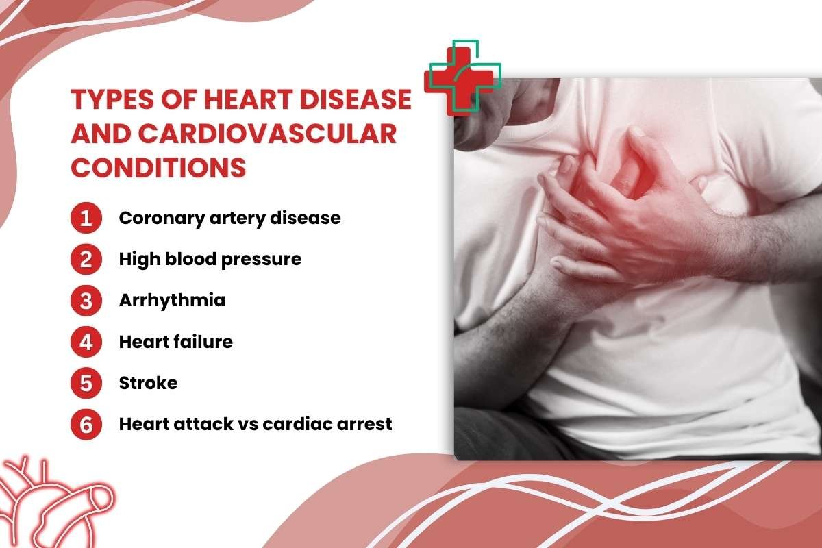 Healthy Heart: Tips for Better Heart Health and Prevention | The Lifesciences Magazine