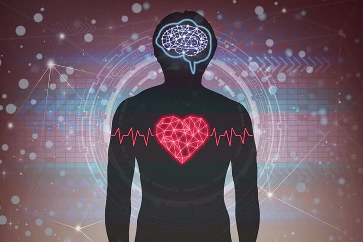 Foods to Avoid for Heart Health: What to Remove Now | The Lifesciences Magazine
