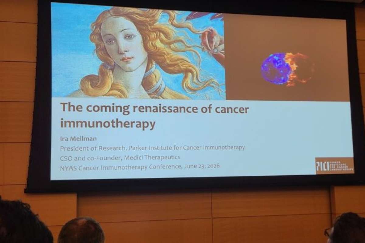 Cancer Immunotherapy Advances Spur Push for Next Generation of Treatments | The Lifesciences Magazine
