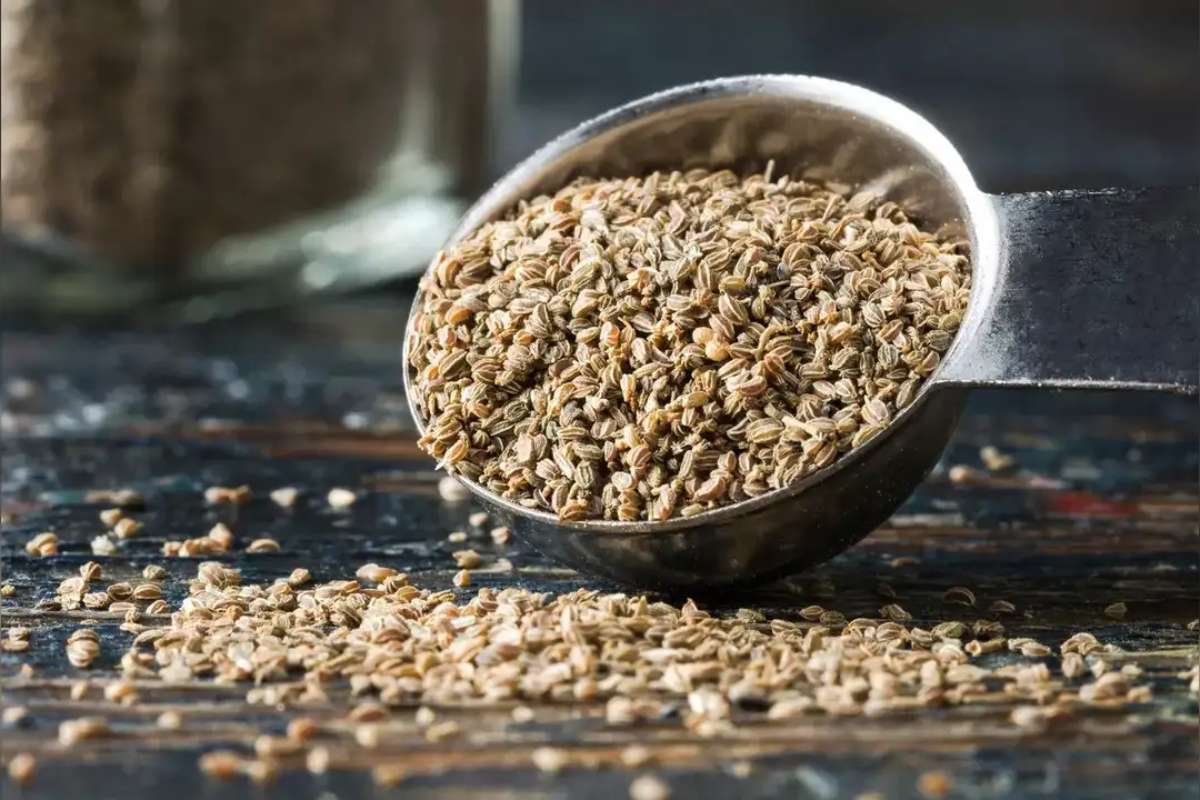 Benefits of Celery Seeds: Nutrition and Health Benefits | The Lifesciences Magazine